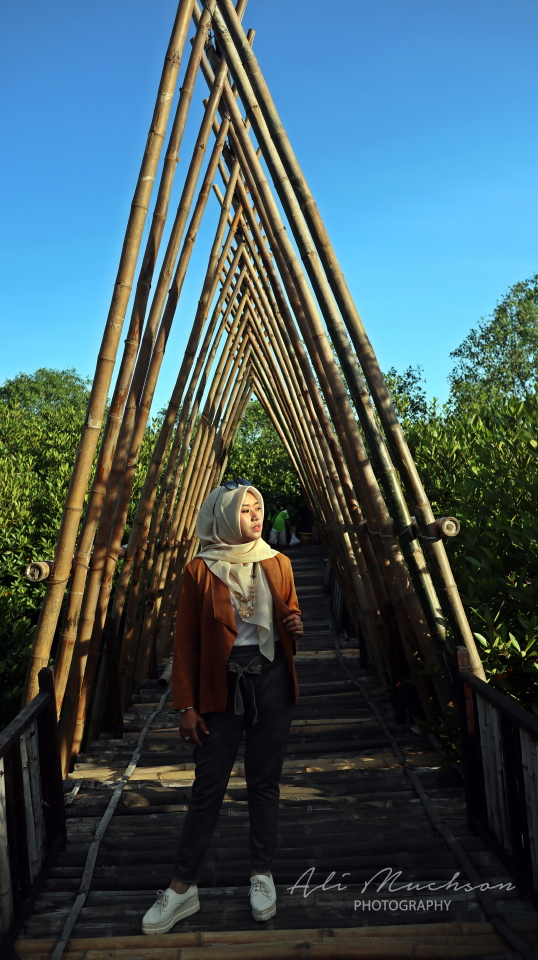 Ekowisata Mangrove Wonorejo Rungkut Surabaya