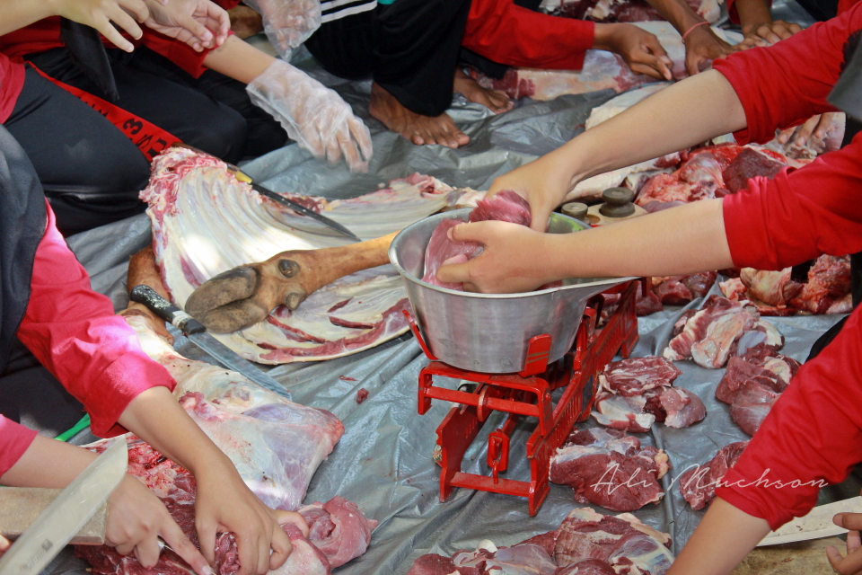 Idul Adha 1441 H - Pemotongan dan Penimbangan Daging Hewan Kurban