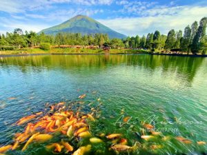 Embung Kledung : Cantiknya Bak Danau Kawaguchi Jepang